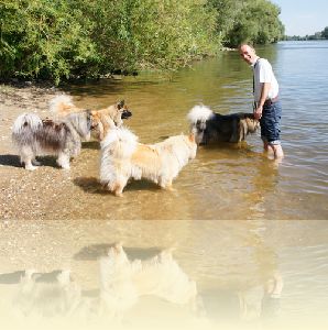 an der Donau Juli 2011